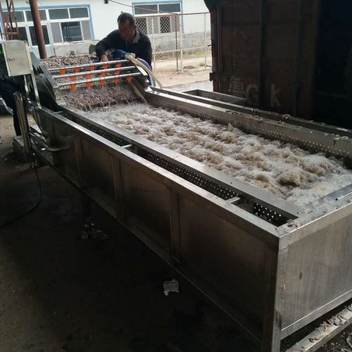 鱼虾气泡清洗设备厂家直销不锈钢海产品清洗设备