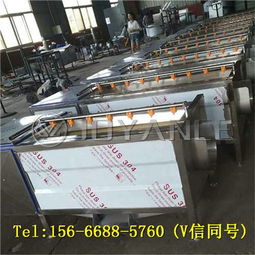 大型蔬菜气泡清洗机,全自动蔬菜加工厂清洗设备