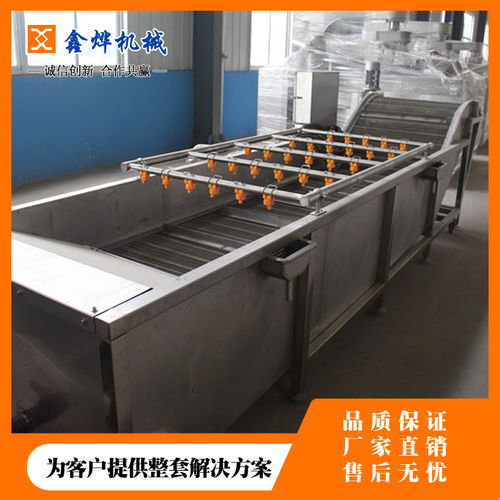果蔬清洗流水线 图 蔬菜清洗设备 清洗设备