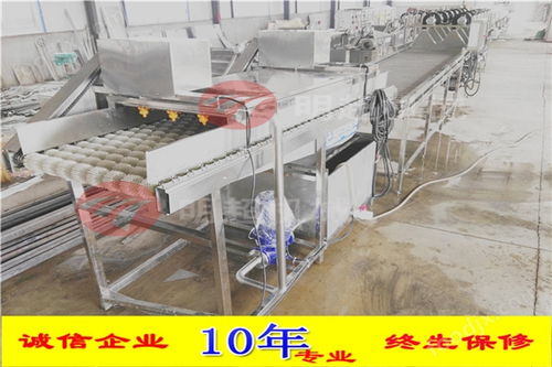 黑龙江香菇清洗流水线 食用菌清洗机 果蔬加工成套设备
