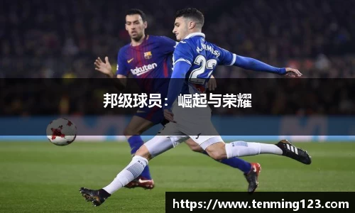bsports必一体育官网