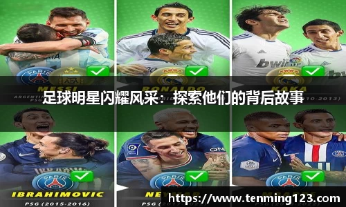 bsports必一体育官网