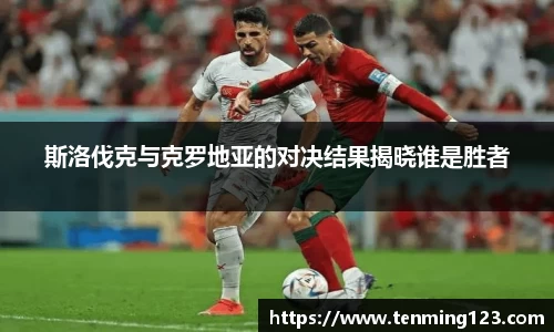 斯洛伐克与克罗地亚的对决结果揭晓谁是胜者